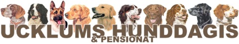 Välkommen till UHHC Hunddagis & Pensionat